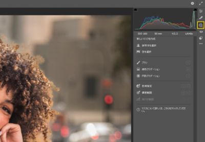 Camera Raw でのマスク