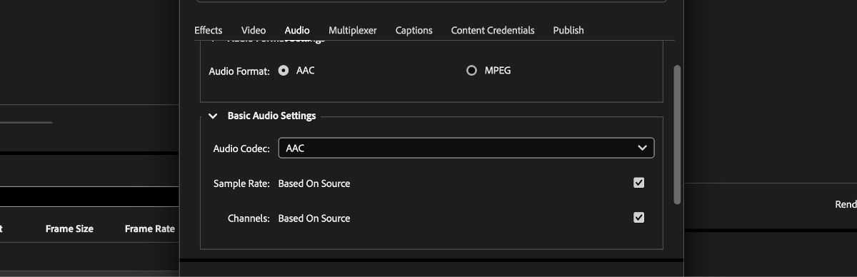 The Basic Audio Settings section is open and the checkbox next to the Sample Rate and Channels dropdown menus are selected.