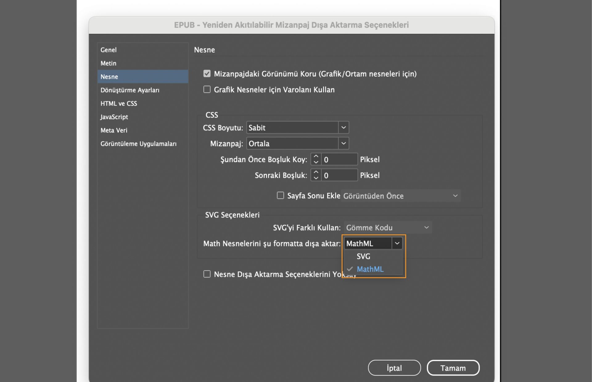 Math Nesnelerini SVG veya MathML Olarak Dışa Aktar'ı vurgulayan EPUB dışa aktarma seçeneklerini gösteren bir ekran görüntüsü