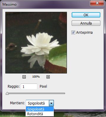 Mantenere la spigolosità o la rotondità in Photoshop