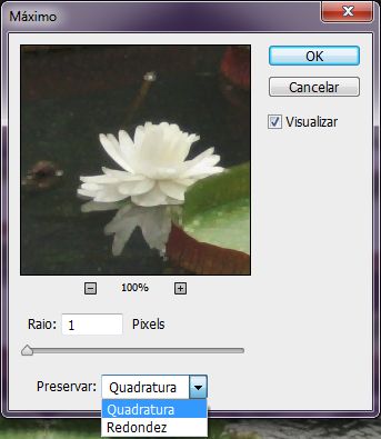 Preservar aspecto quadrado ou redondo do Photoshop