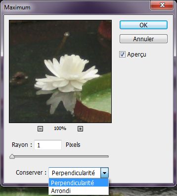 Conserver le carré ou l’arrondi dans Photoshop