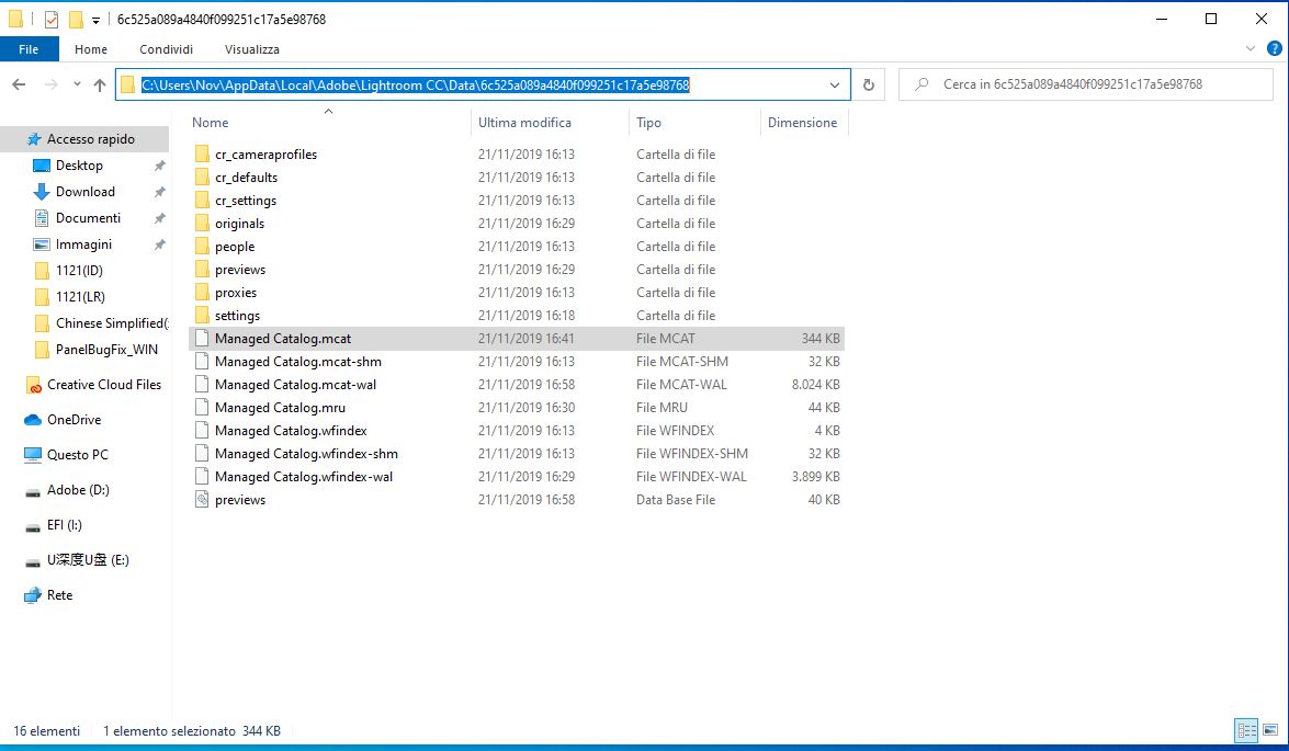 Posizione file MCAT su Windows 