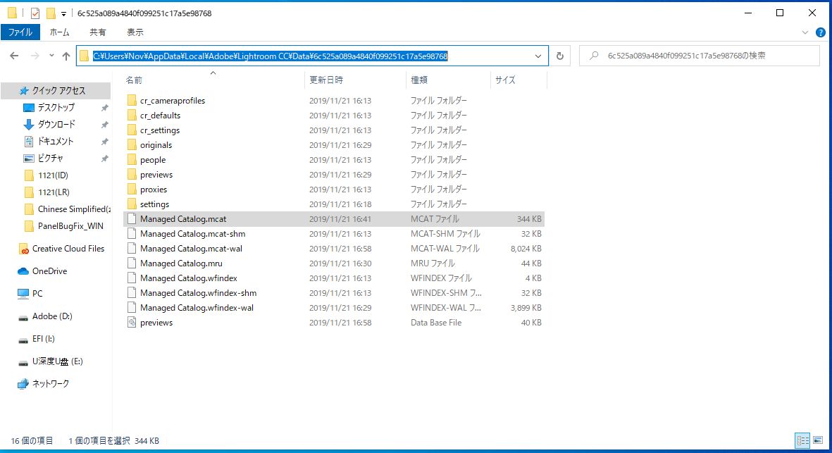 Windows での MCAT ファイルの場所 