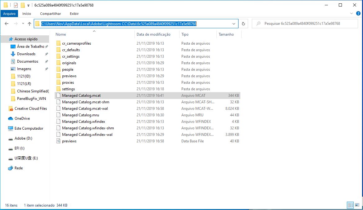 Localização do arquivo MCAT no Windows 