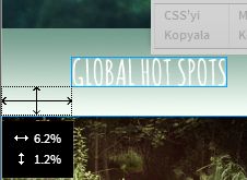 Yüzde olarak ölçüler