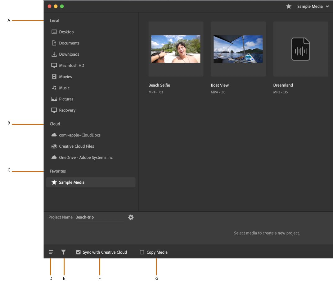 Browser multimediale