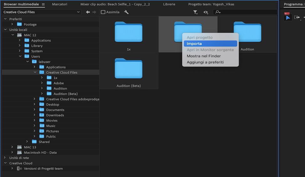 Browser multimediale