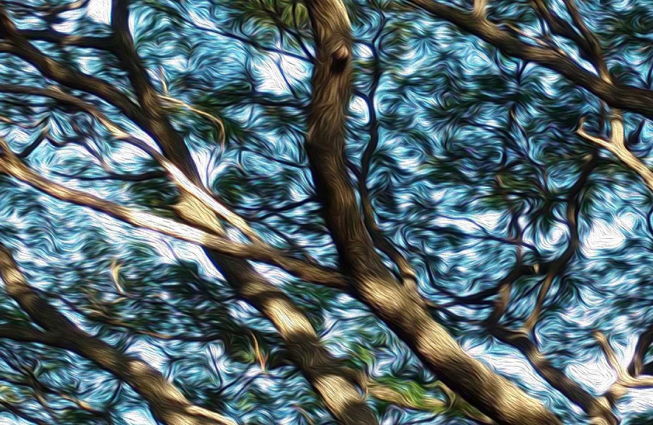 Filtro Pintura a óleo do Photoshop