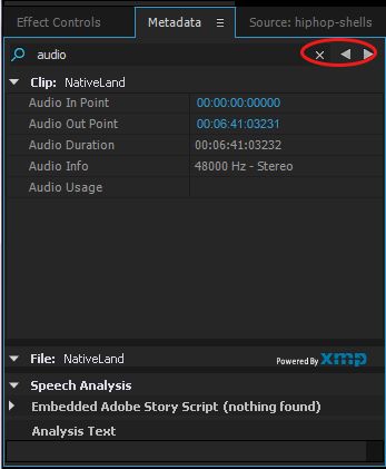 Nach der Suche werden nur Eigenschaften angezeigt, die den Suchbegriff enthalten. In Adobe Premiere Pro wechseln Sie mit den Schaltflächen „Zurück“ und „Weiter“ zwischen den Suchergebnissen.