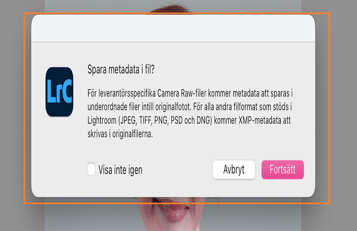 dialogruta för att spara metadata i Lightroom Classic