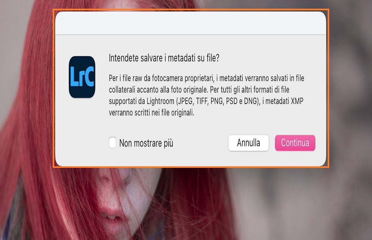 finestra di dialogo salva metadati in Lightroom Classic