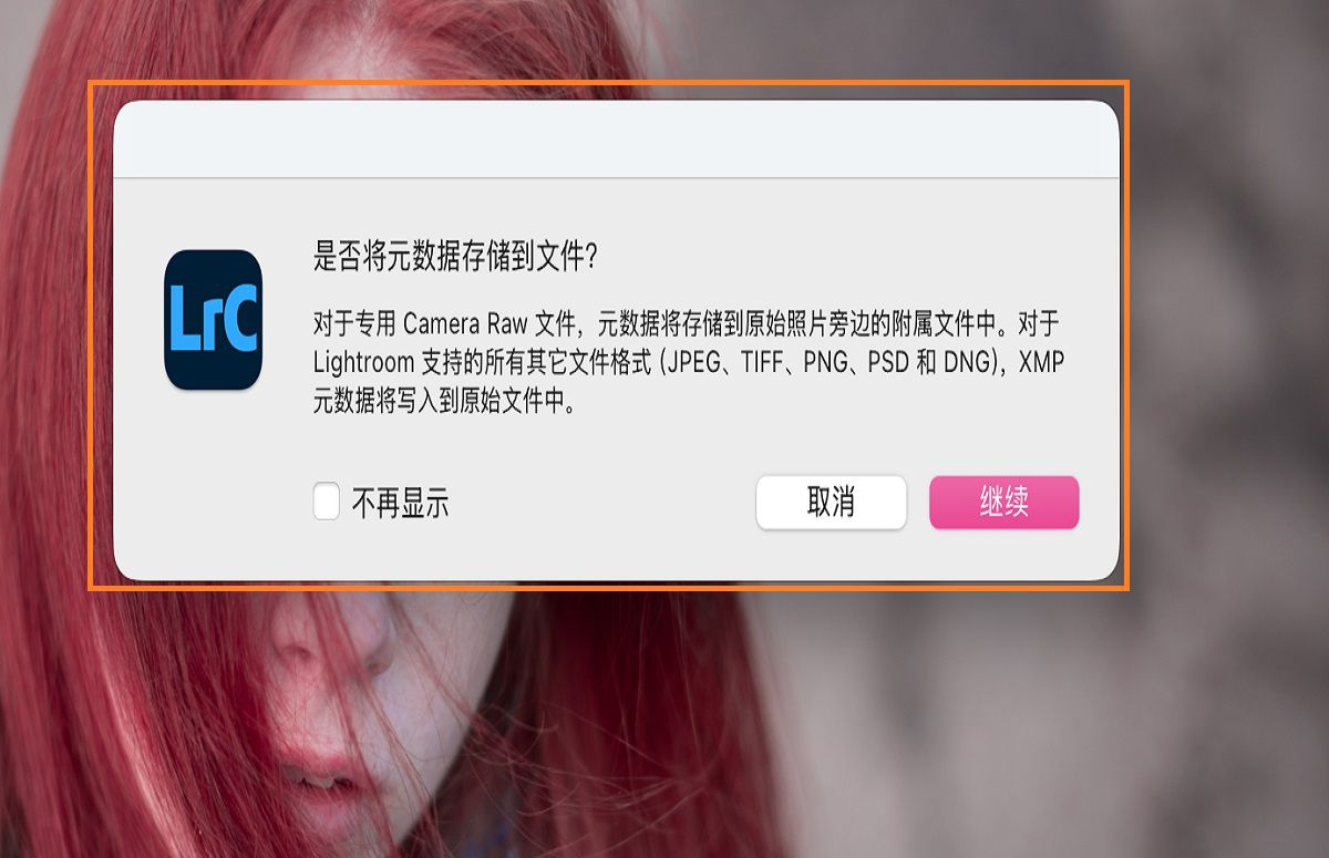 Lightroom Classic 中的保存元数据对话框