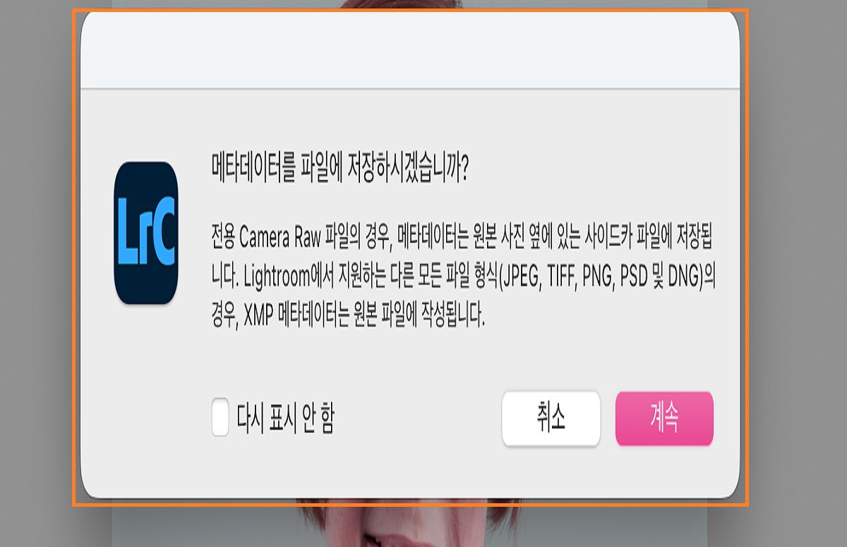 Lightroom Classic의 메타데이터 저장 대화 상자