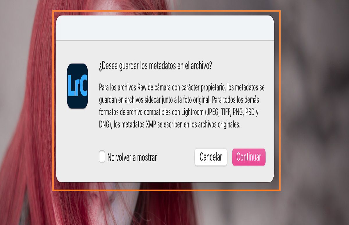 cuadro de diálogo guardar metadatos en Lightroom Classic