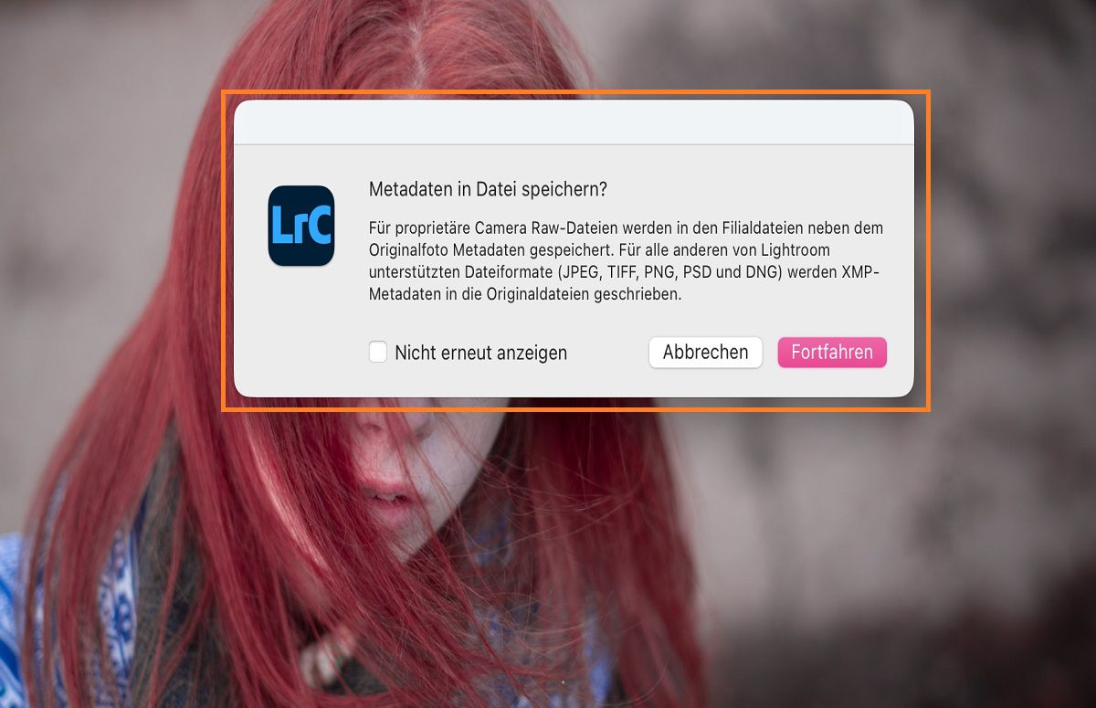 Dialogfeld „Metadaten speichern&quot; in Lightroom Classic