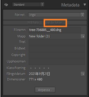 metadata-selected-photo