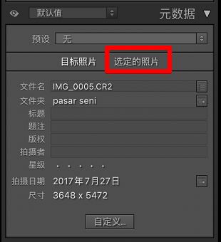 metadata-selected-photo