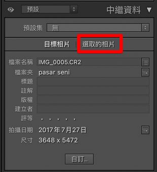 metadata-selected-photo