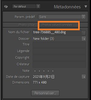 metadata-selected-photo