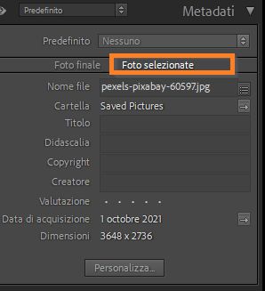 metadata-selected-photo