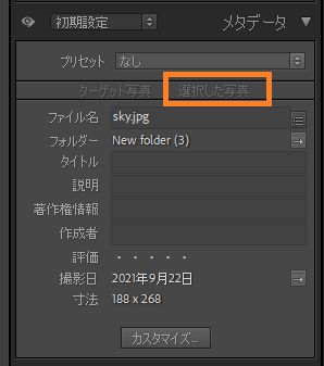 metadata-selected-photo