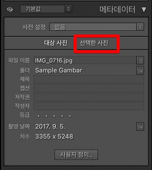 metadata-selected-photo