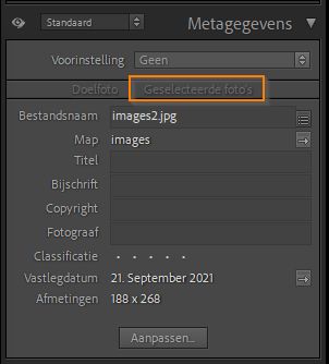 metagegevens-geselecteerde-foto