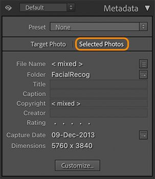 metadata-selected-photo