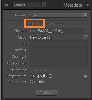 metadata-target-photo