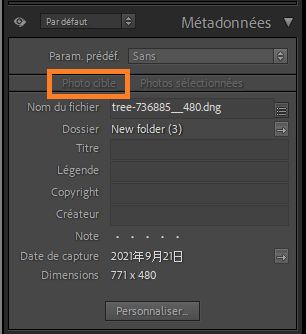 metadata-target-photo