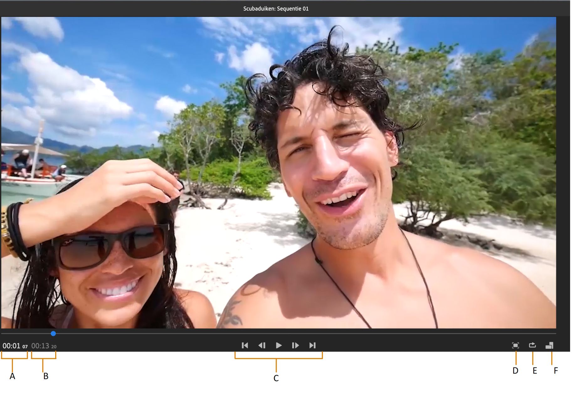 Besturingselementen voor voorvertoningsmonitor