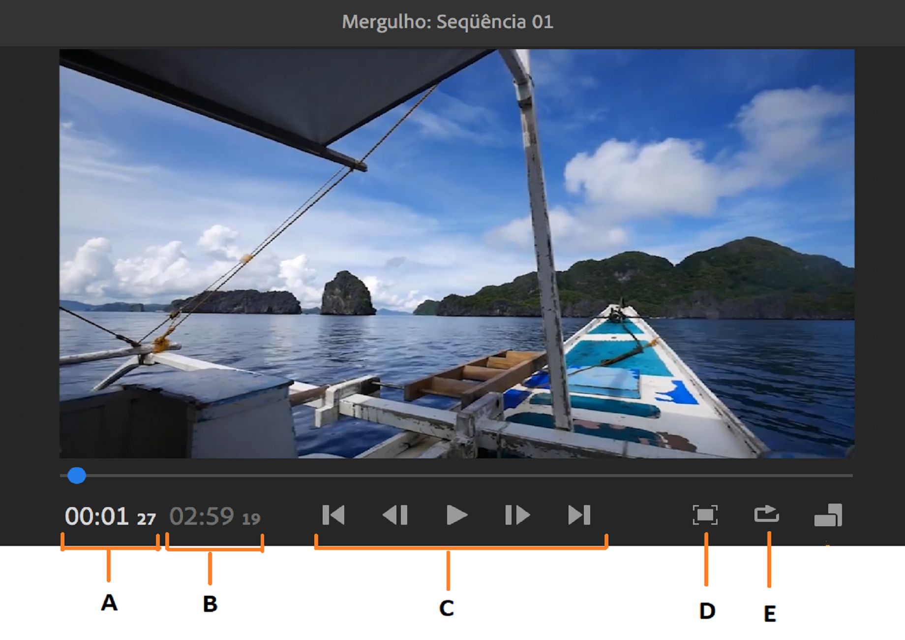 Controles do monitor Visualização