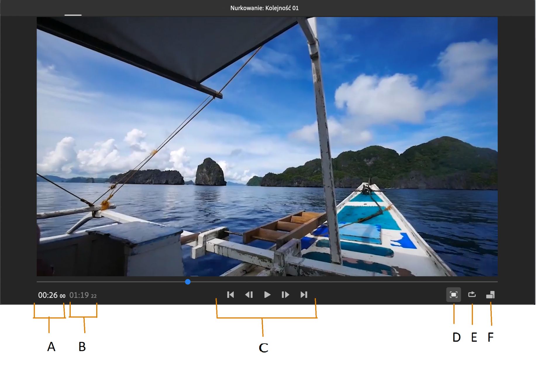 Ustawienia monitora podglądu