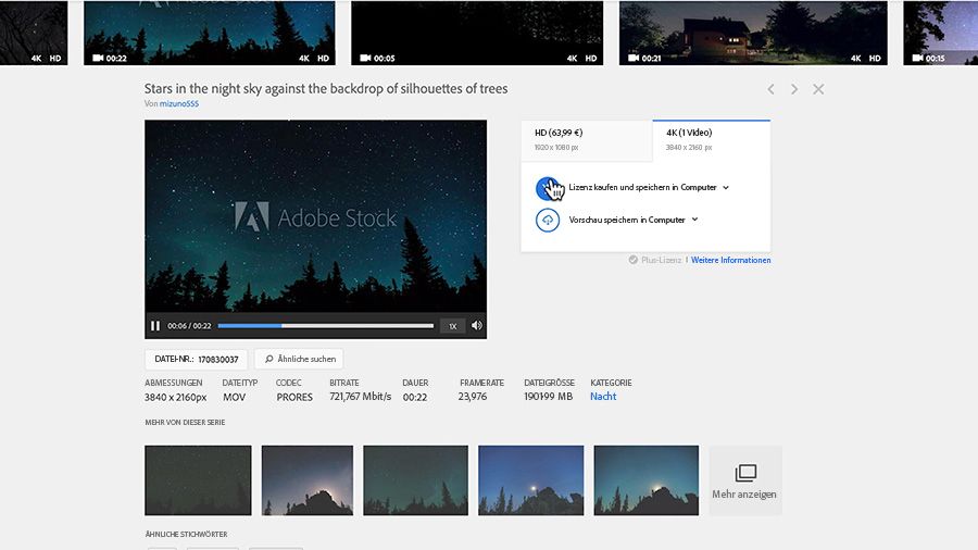 Hochauflösendes Video eines Sternenhimmels über Baumsilhouetten wird in Adobe Stock lizenziert und heruntergeladen.