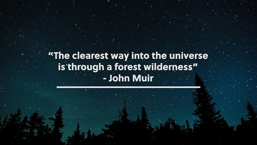 별이 빛나는 밤하늘 위에 John Muir 인용구가 표시됨