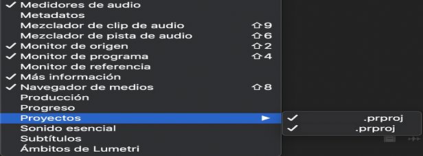 Visualización de varios proyectos