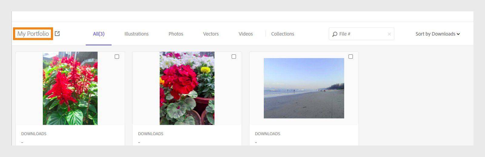 Captura de pantalla del panel de control de Adobe Stock que muestra ganancias y tendencias de descarga con una sección de Portfolio que muestra imágenes cargadas incluyendo flores y una escena de playa.