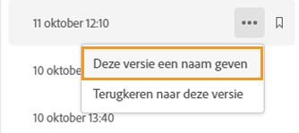 Geef een bestandsversie een naam