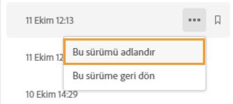 Dosya sürümünü adlandırma