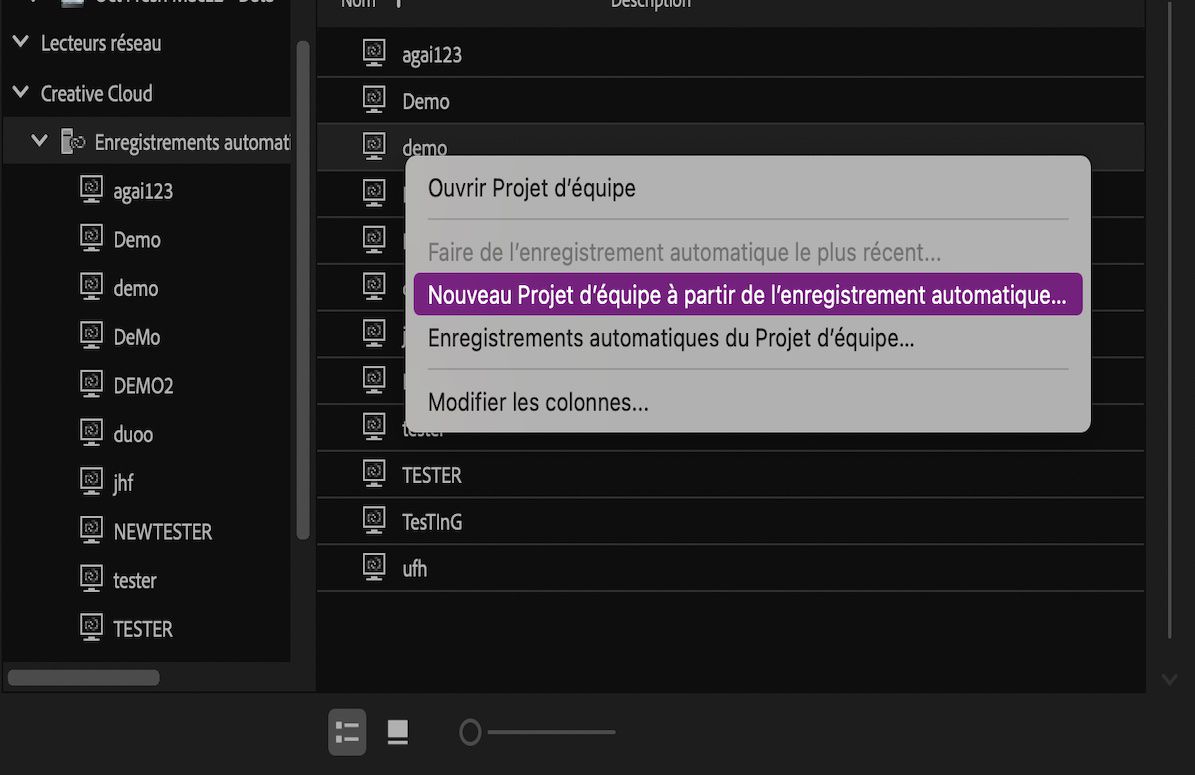 Copie d’écran montrant l’option Nouveau Projet d’équipe à partir de l’enregistrement automatique sélectionnée.