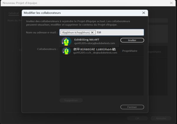 Invitation de nouveaux collaborateurs et de nouvelles collaboratrices dans un nouveau Projet d’équipe à l’aide de la boîte de dialogue Modifier les collaborateurs.