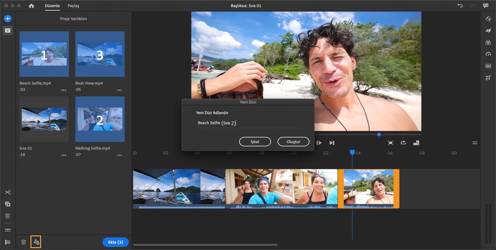 Proje Varlıkları panelini kullanarak dizi oluşturma