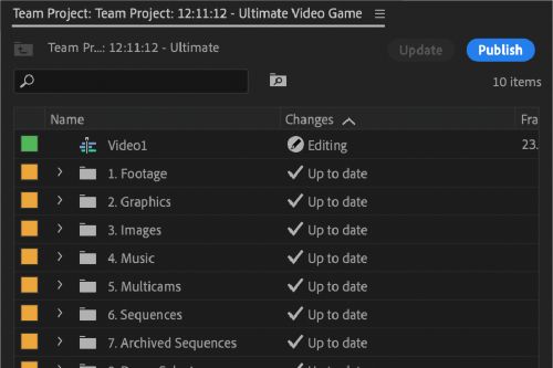 Option to publish the locally saved changes.
