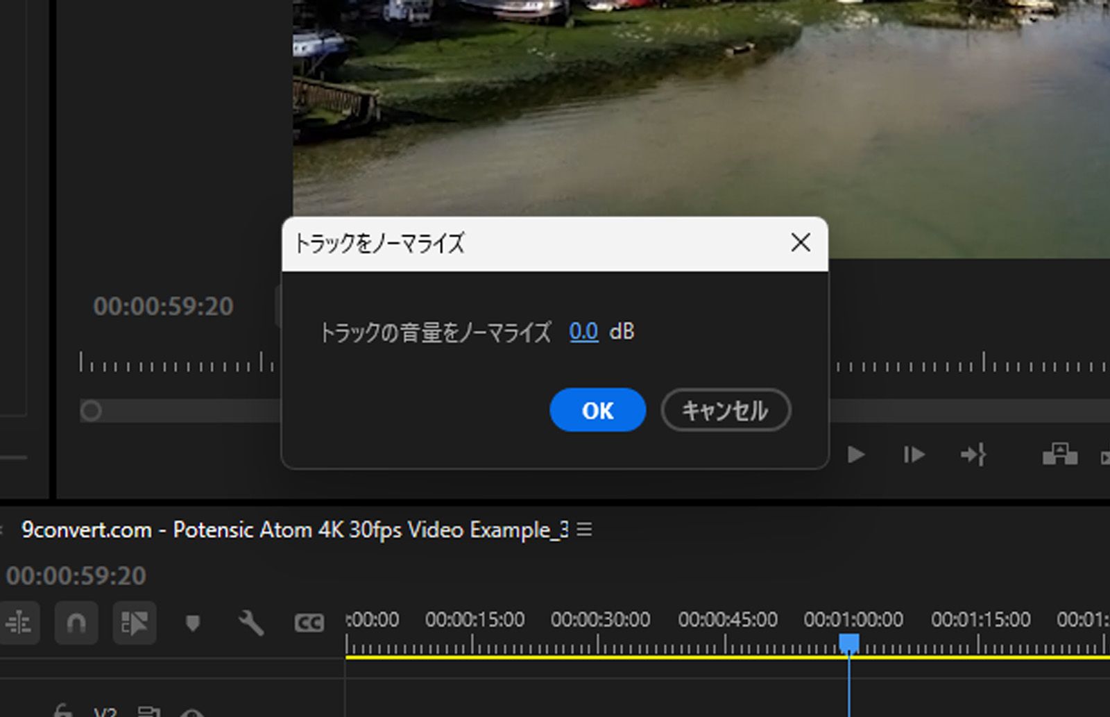トラックをノーマライズダイアログボックスが開き、dB フィールドに振幅値を入力します。