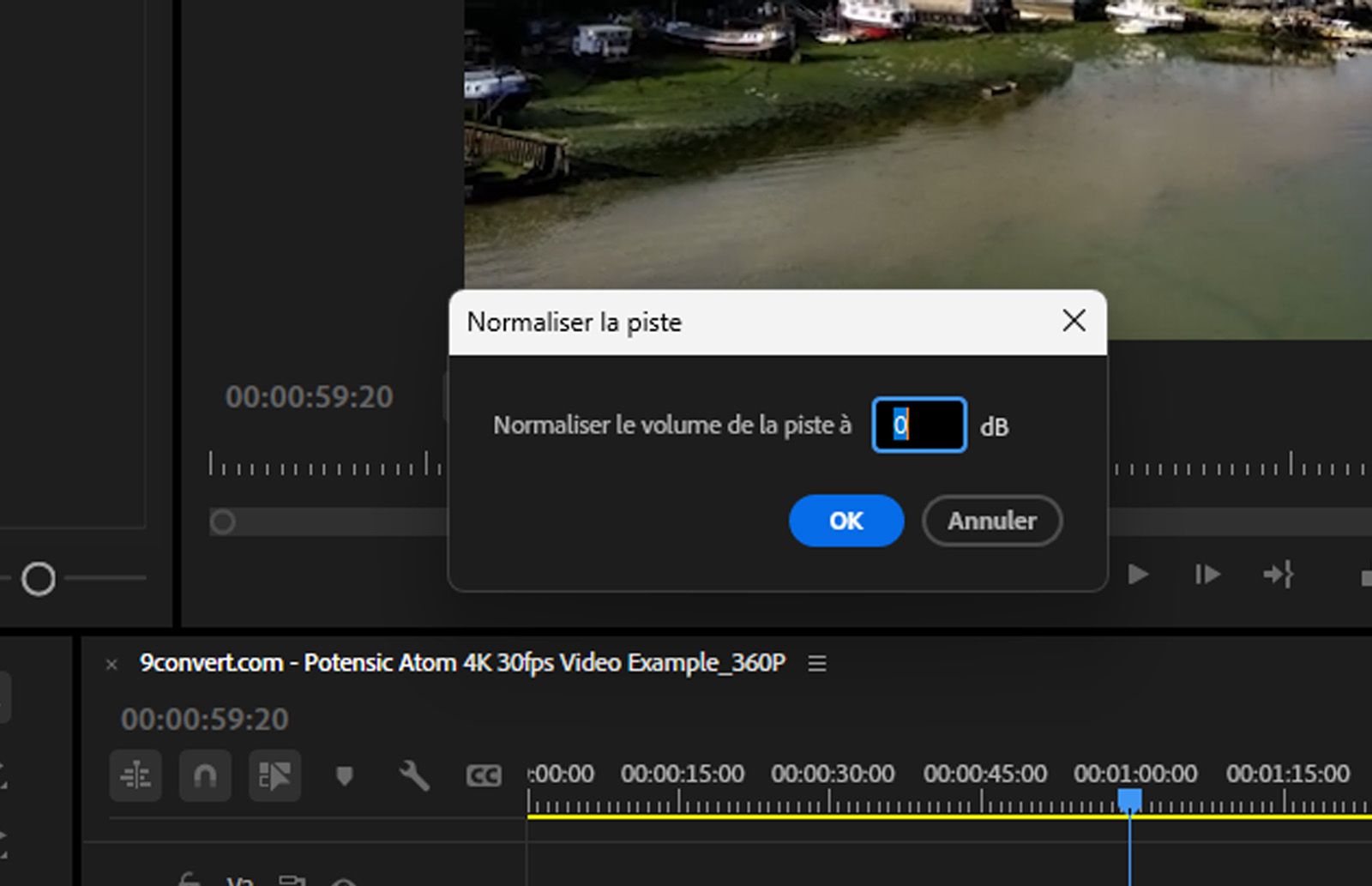 La boîte de dialogue Normaliser la piste est ouverte. Dans le champ dB, saisissez une valeur d’amplitude.