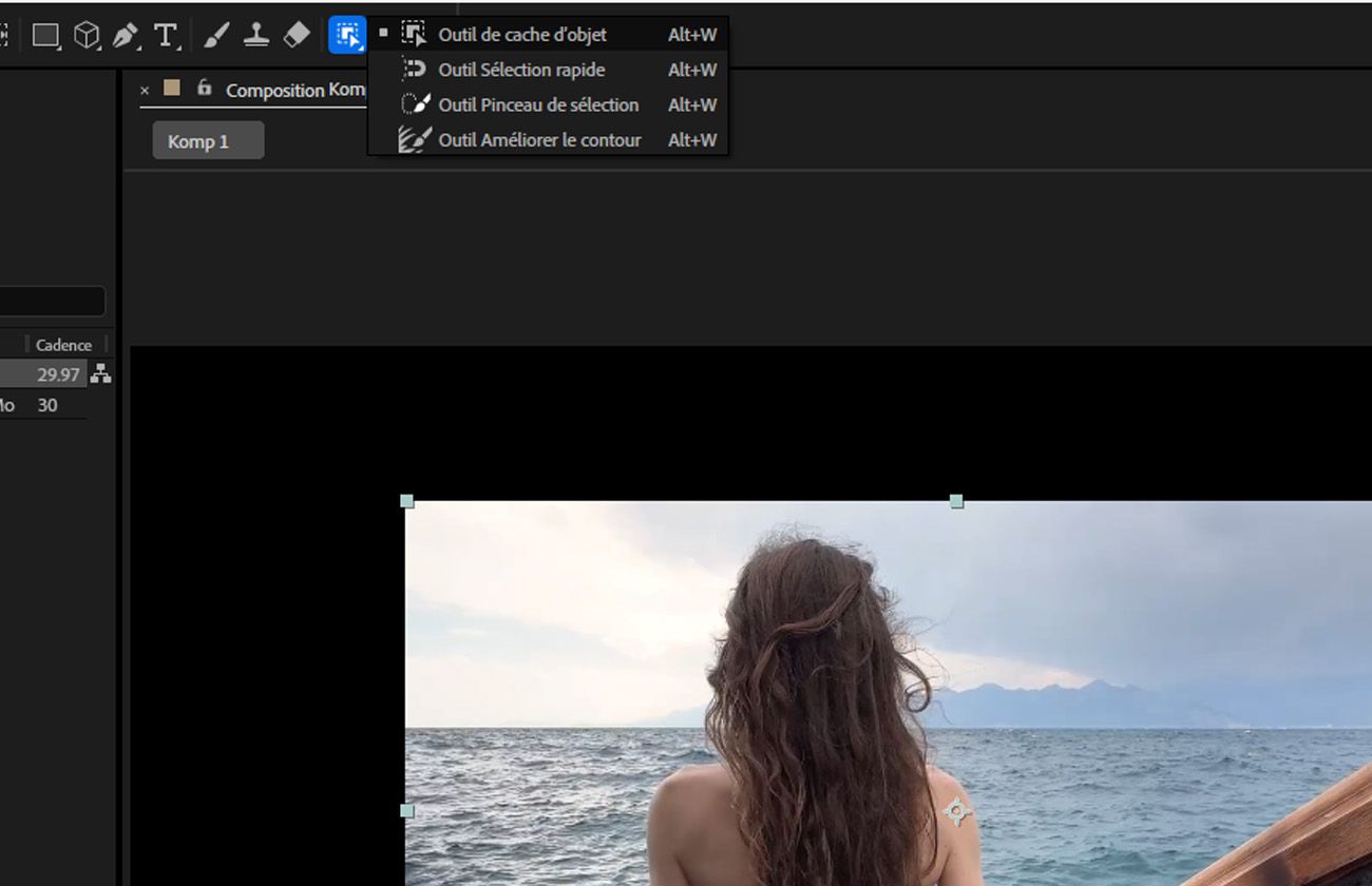 Les Outils principaux Cache de l’objet sont visibles dans la barre de menu et dans le panneau Composition. Un élément visuel est sélectionné pour la propagation et le gel.