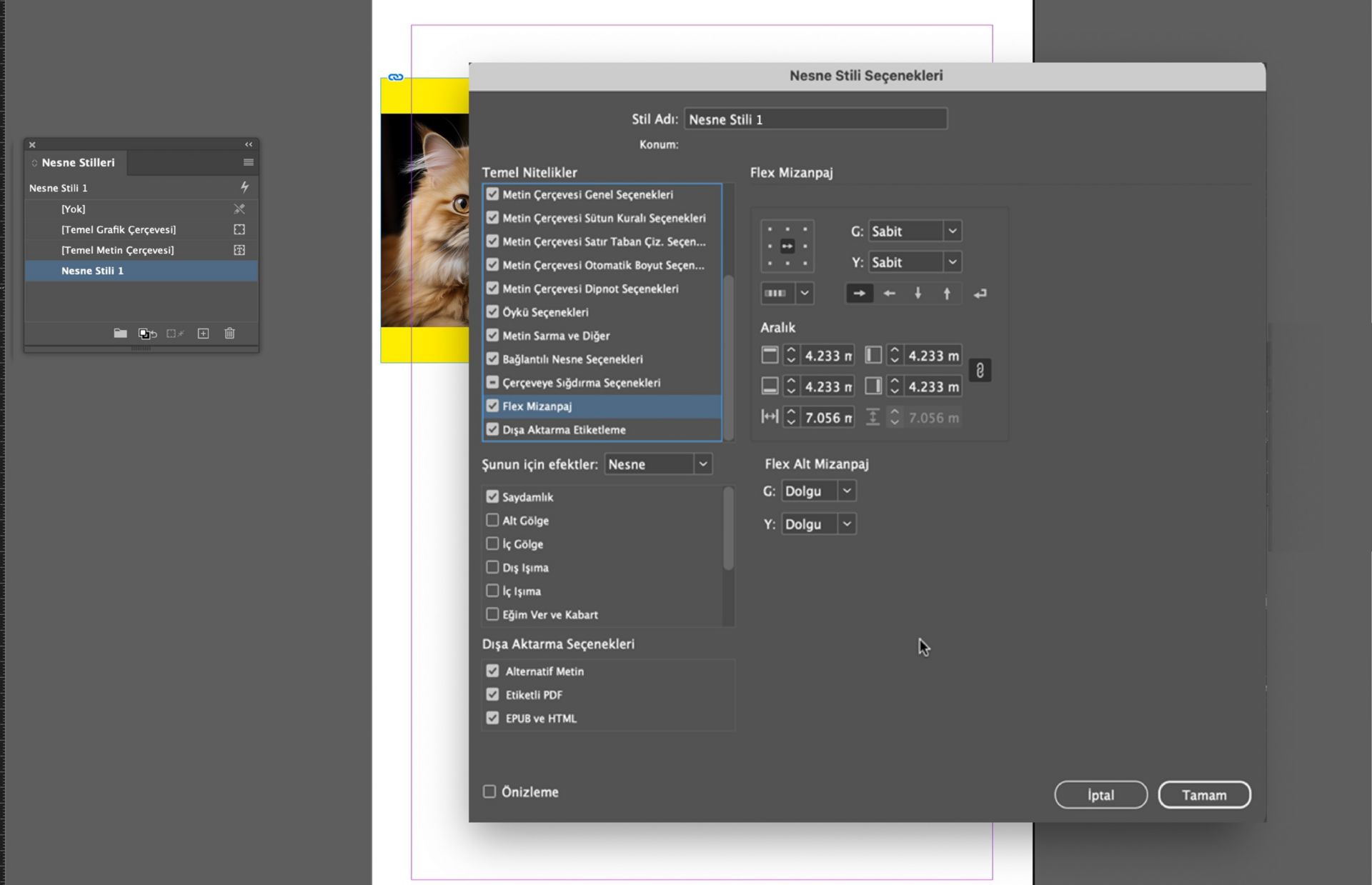 Flex Mizanpaj seçenekleri seçili olarak Nesne Stili seçenekleri iletişim kutusu açılır