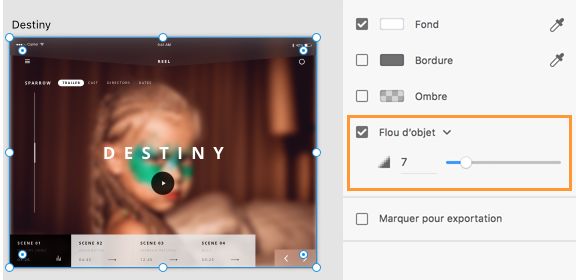 Ajustement du flou sur l’image sélectionnée