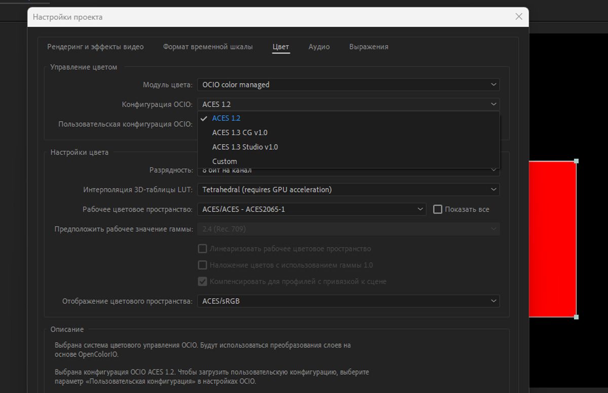 Диалоговое окно «Настройки проекта» открыто, и в качестве модуля цвета выбрано «Управление цветом OCIO».
